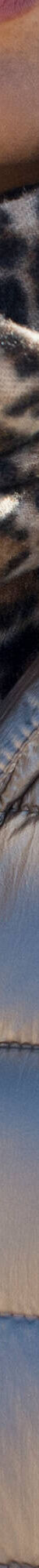 Korte, gewatteerde jas met metallic effect (goudbruin) Korte, gewatteerde jas met metallic effect (goudbruin)